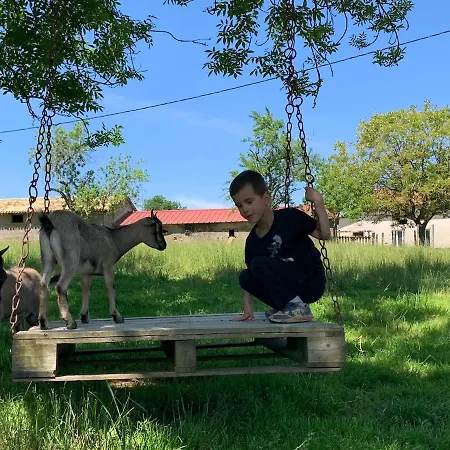 Hébergement de vacances à La Ferme - Activités à La Ferme - Vue Sur Les Animaux