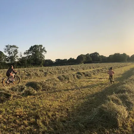 A La Ferme - Activites A La Ferme - Vue Sur Les Animaux Holiday home