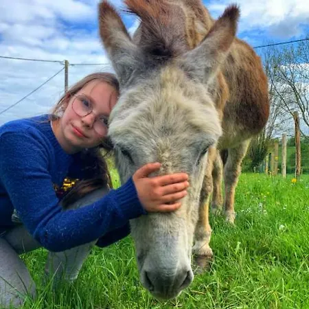 à La Ferme - Activités à La Ferme - Vue Sur Les Animaux Hébergement de vacances