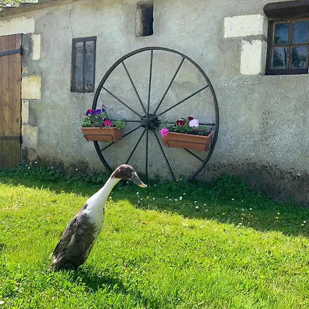 Hébergement de vacances à La Ferme - Activités à La Ferme - Vue Sur Les Animaux *