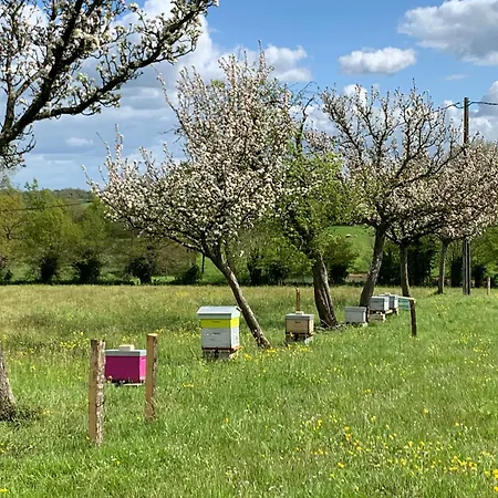 A La Ferme - Activites A La Ferme - Vue Sur Les Animaux