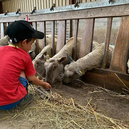 à La Ferme - Activités à La Ferme - Vue Sur Les Animaux Saint-Pardoux (Deux-Sevres)