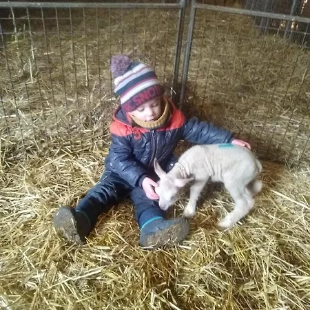 Hébergement de vacances à La Ferme - Activités à La Ferme - Vue Sur Les Animaux Saint-Pardoux (Deux-Sevres)