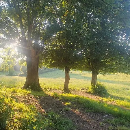 Hébergement de vacances à La Ferme - Activités à La Ferme - Vue Sur Les Animaux Saint-Pardoux (Deux-Sevres)