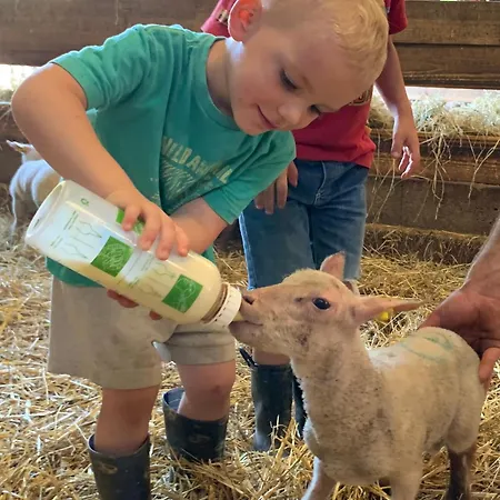 A La Ferme - Activites A La Ferme - Vue Sur Les Animaux Holiday home Saint-Pardoux (Deux-Sevres)