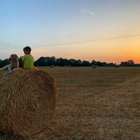 à La Ferme - Activités à La Ferme - Vue Sur Les Animaux Hébergement de vacances Saint-Pardoux (Deux-Sevres)